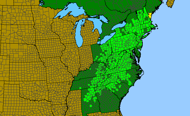 The range of Eurybia divaricata